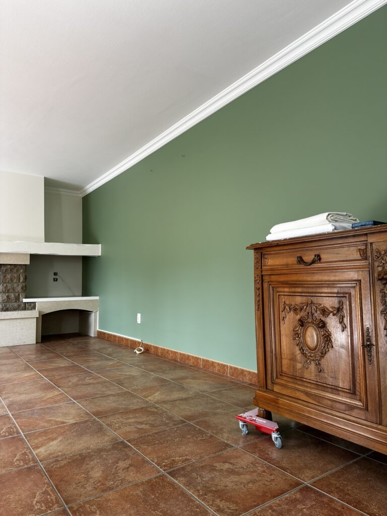 Renovation Salon Tour du pin